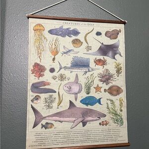 Ocean Creatures Wall Hanging Poster -